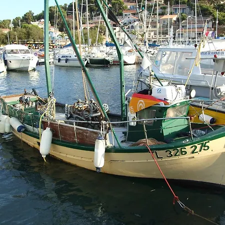 Maolni * Toulon