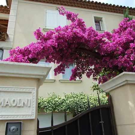 Maolni * Toulon
